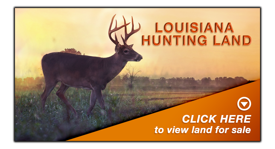 Louisiana Hunting Land